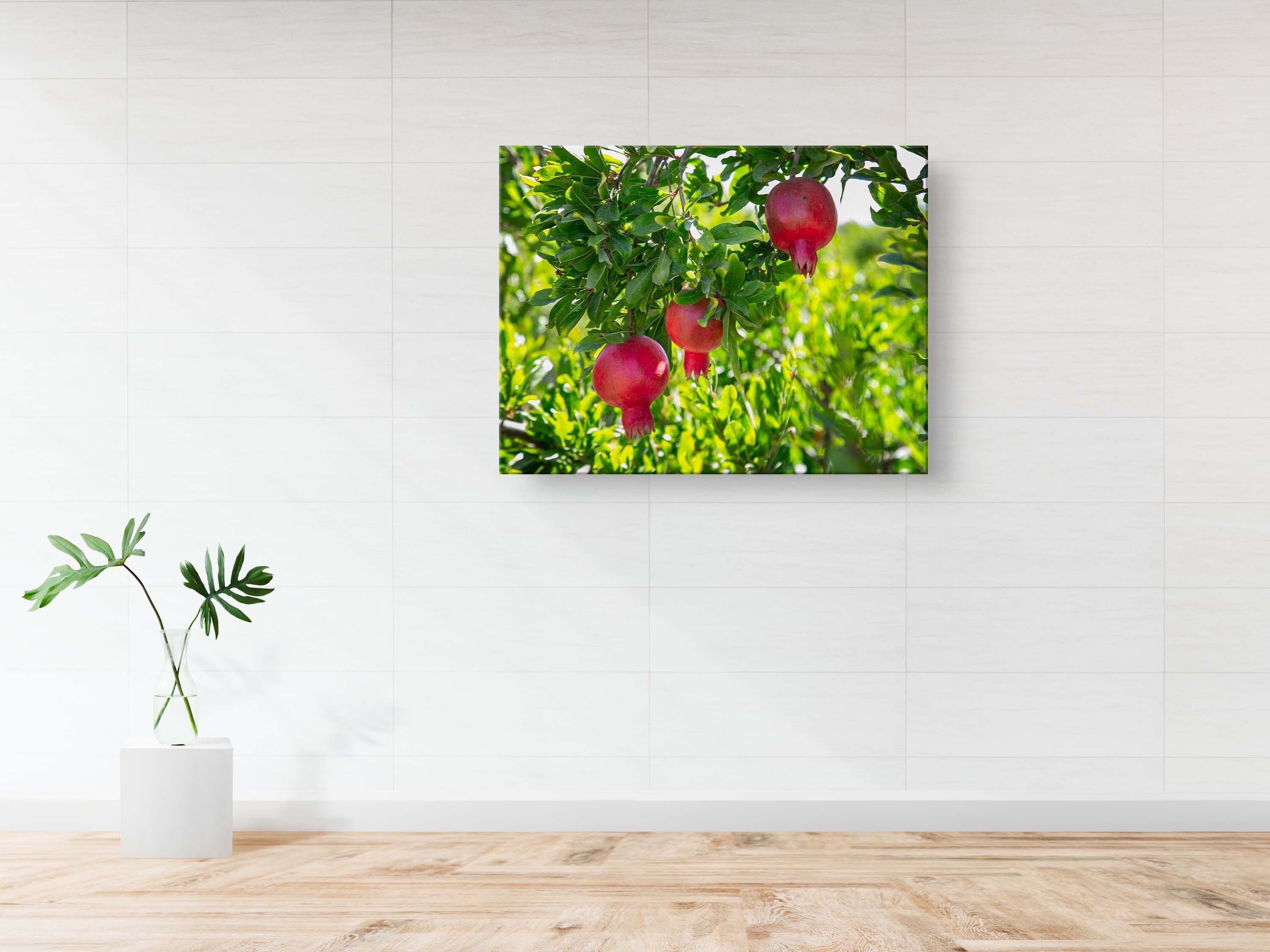 Holy Land Red Pomegranates Rimonim Tree — Kitchen