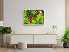 Holy Land Red Pomegranates Rimonim Tree — Kitchen