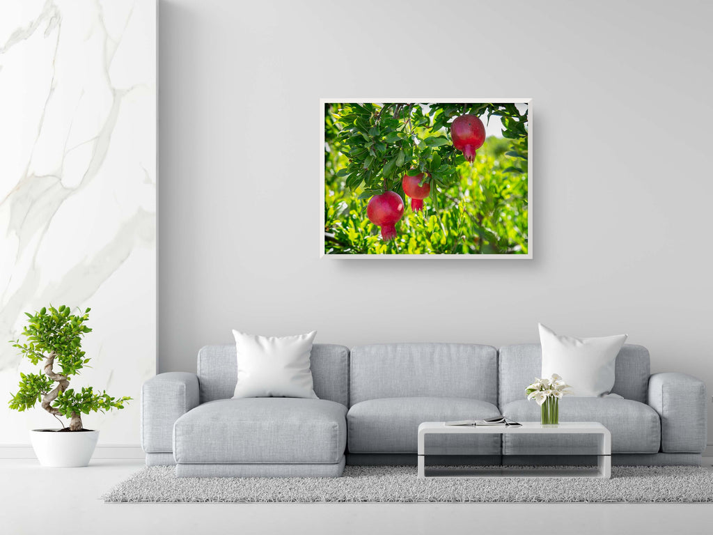 Holy Land Red Pomegranates Rimonim Tree — Kitchen