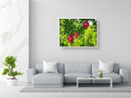 Holy Land Red Pomegranates Rimonim Tree — Kitchen