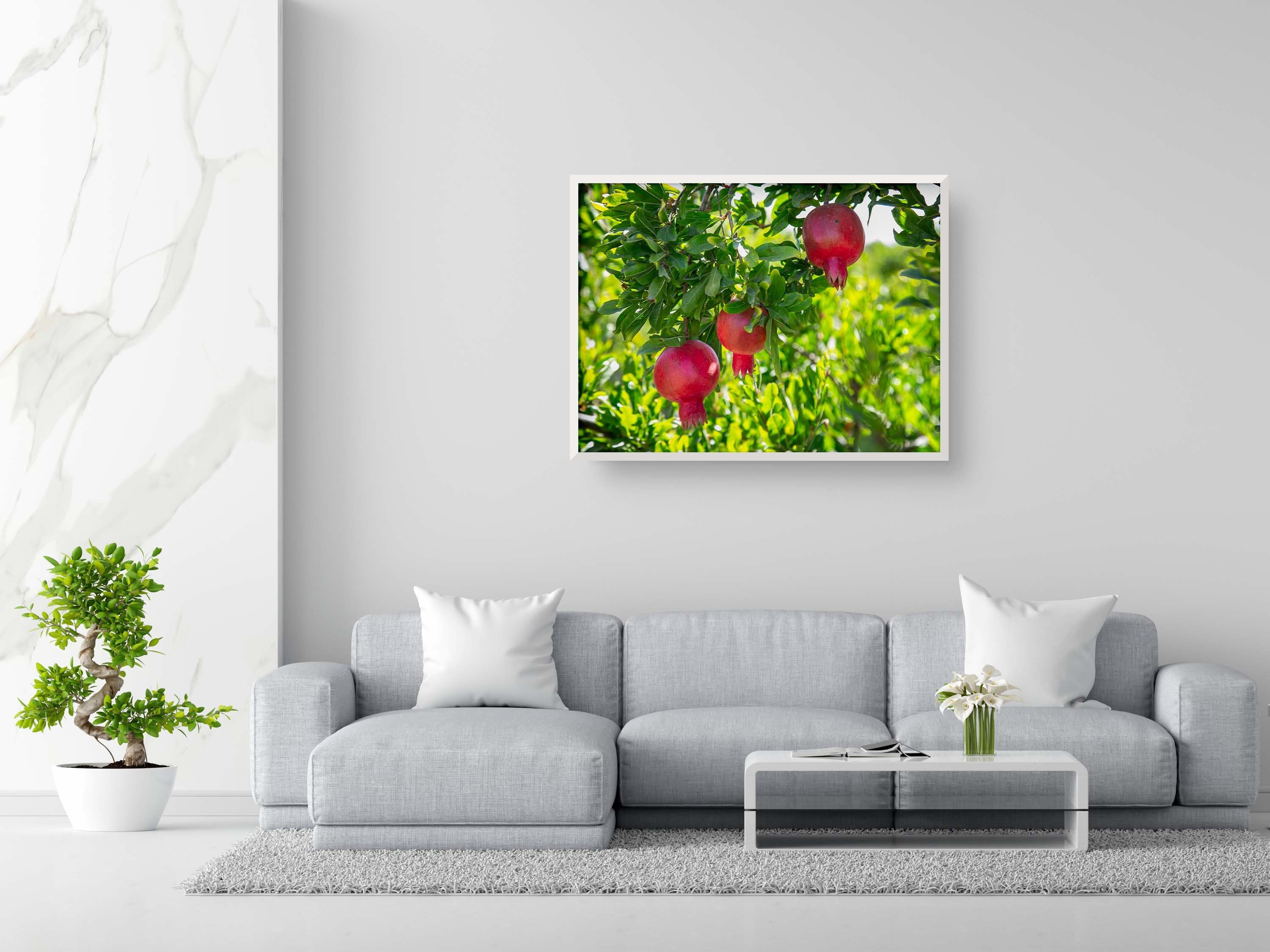 Holy Land Red Pomegranates Rimonim Tree — Kitchen
