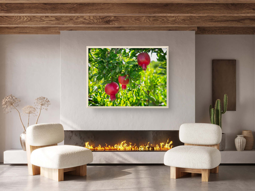 Holy Land Red Pomegranates Rimonim Tree — Kitchen