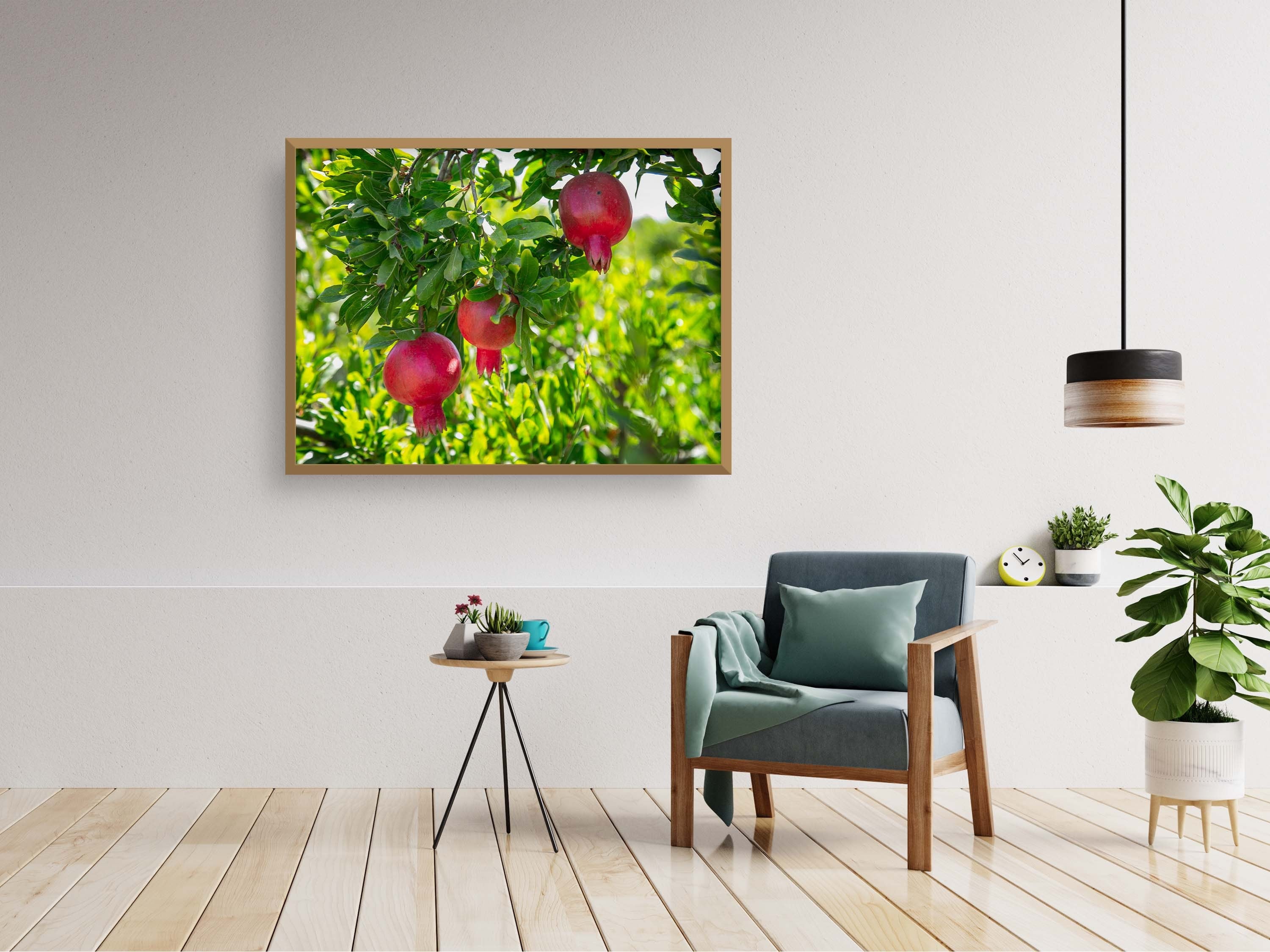 Holy Land Red Pomegranates Rimonim Tree — Kitchen