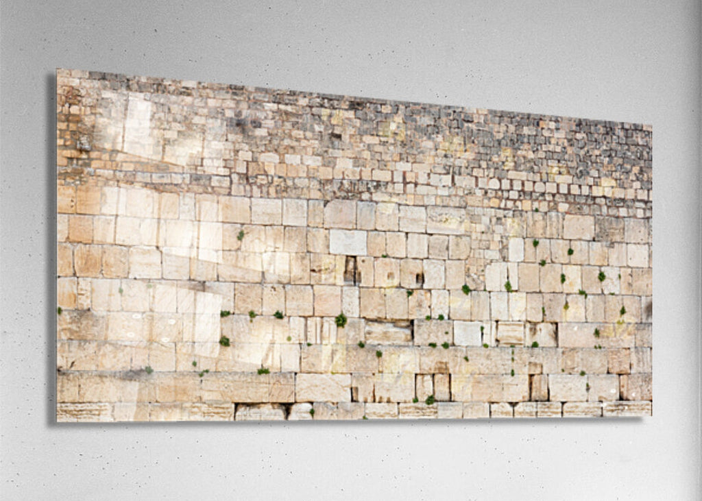 Extra Large Panoramic Kotel Western Wall with Green Vegetation
