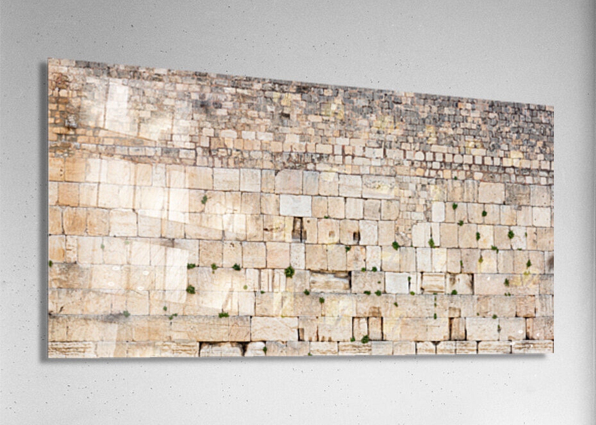 Extra Large Panoramic Kotel Western Wall with Green Vegetation