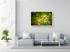 Israeli Holy Land Green Red Young Pomegranates Rimonim — Kitchen