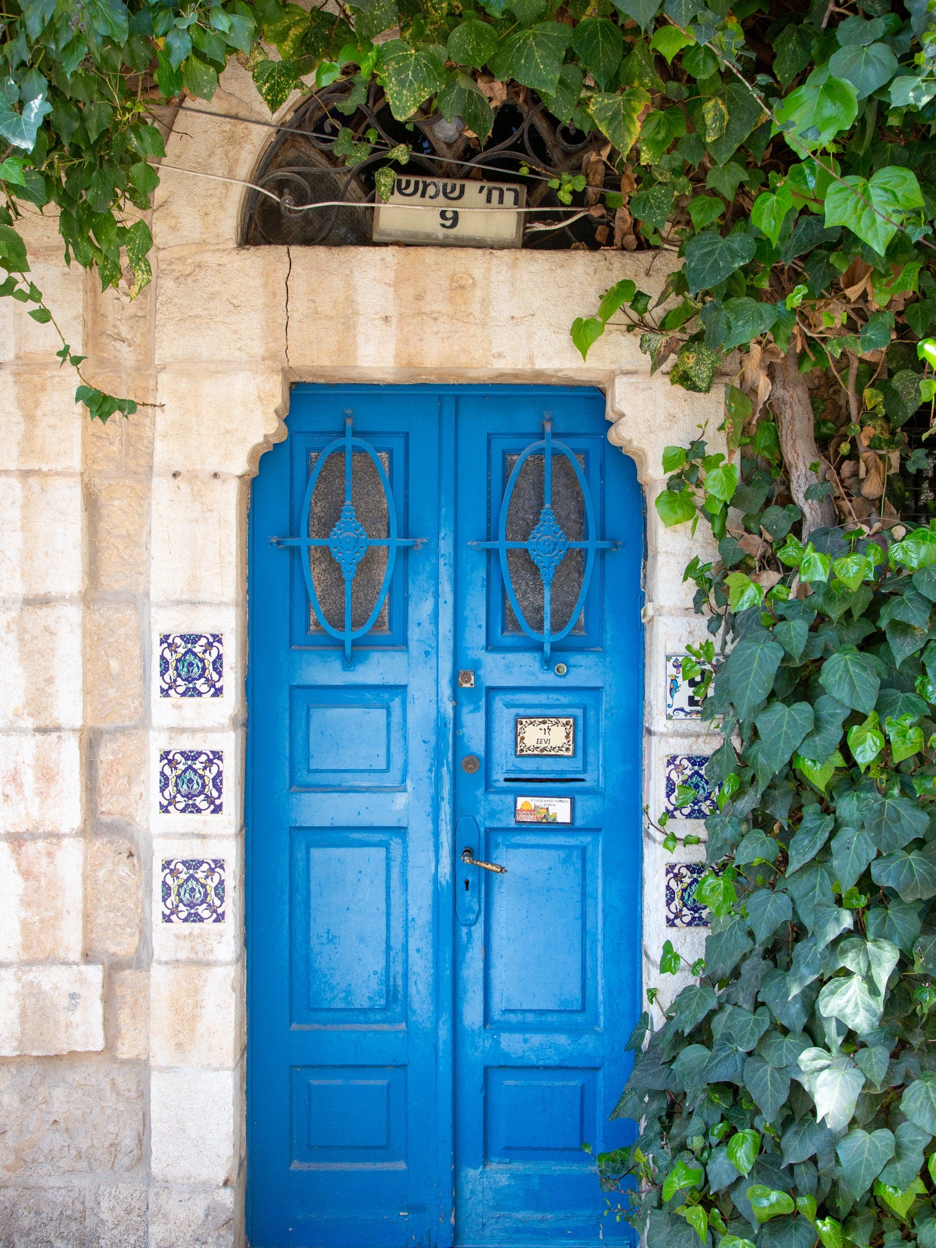 Israeli Holy Land Jerusalem Blue Door with Ivy