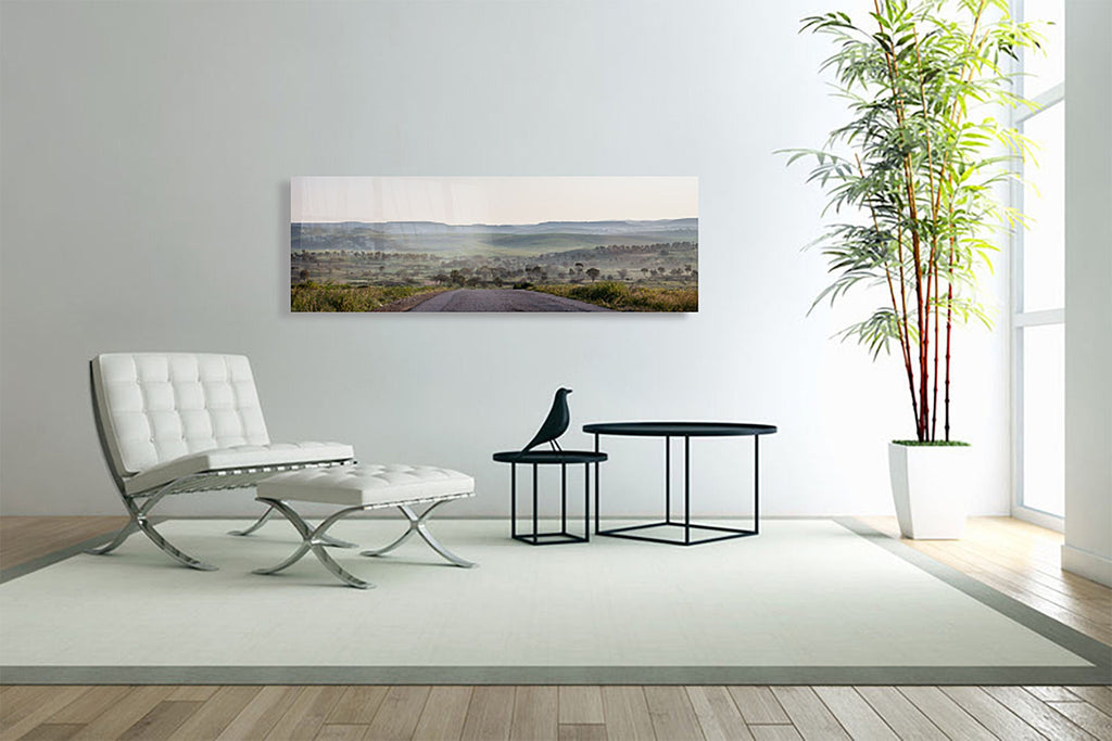 Israel Holy Land Panoramic Green Forest Landscape