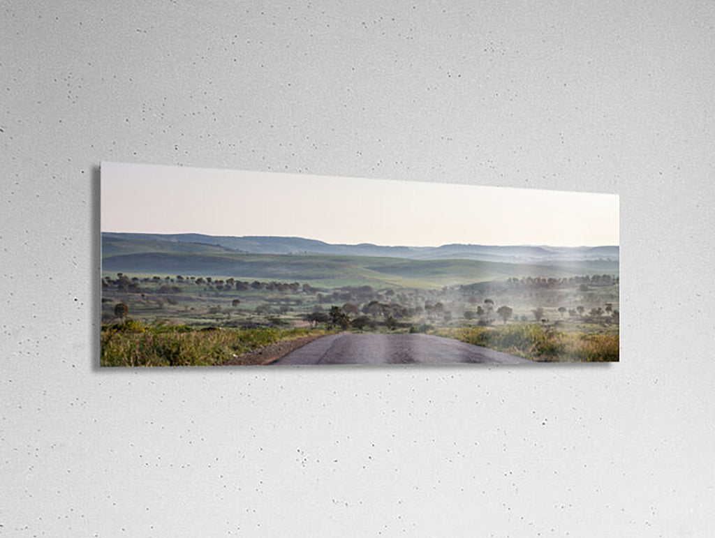Israel Holy Land Panoramic Green Forest Landscape