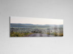 Israel Holy Land Panoramic Green Forest Landscape