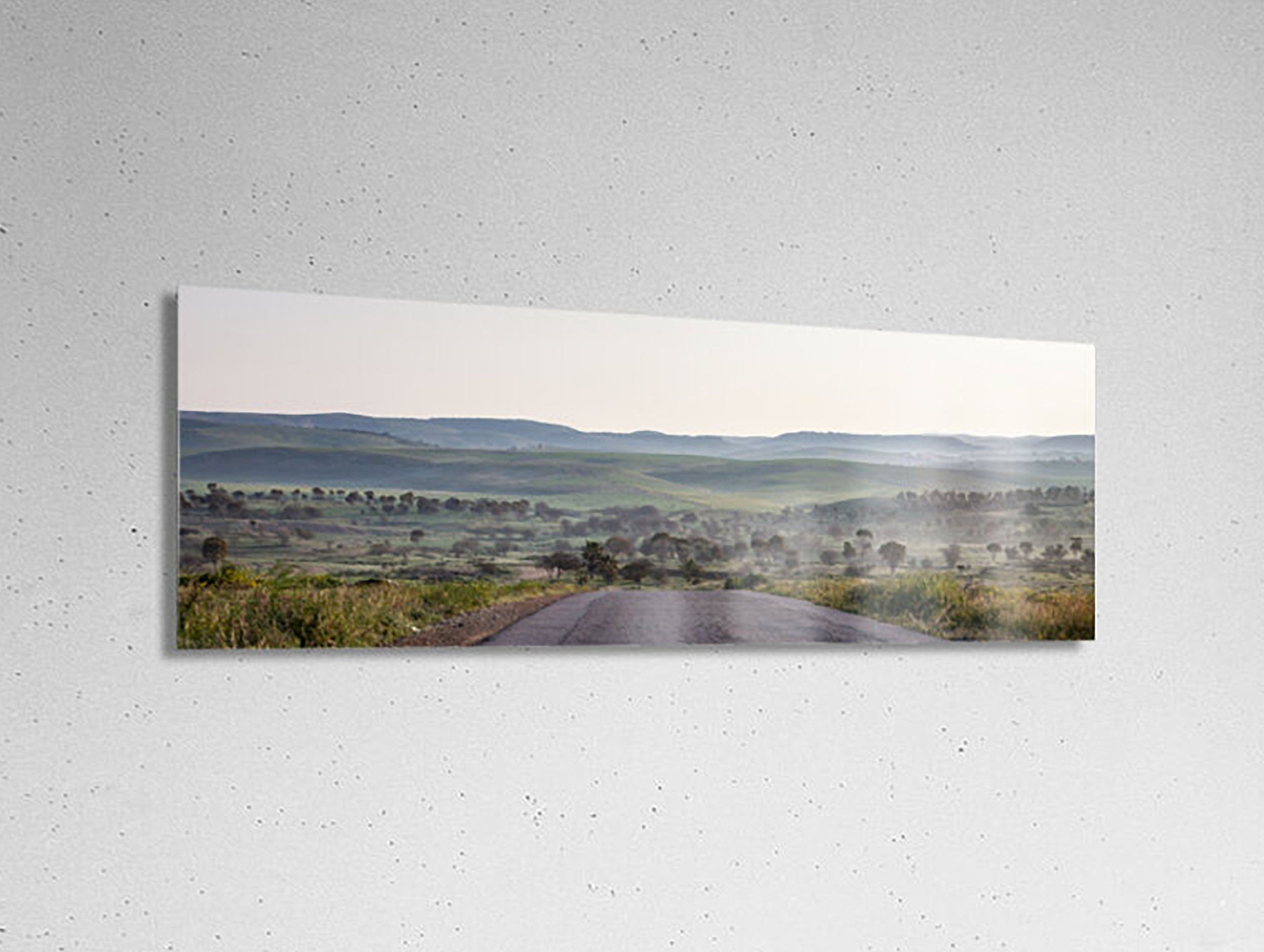 Israel Holy Land Panoramic Green Forest Landscape