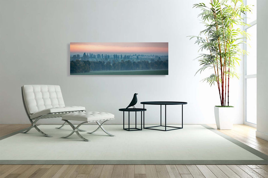 Holy Land Israeli Sunrise Panoramic Landscape: Green Field and Trees, Kibbutz Beeri