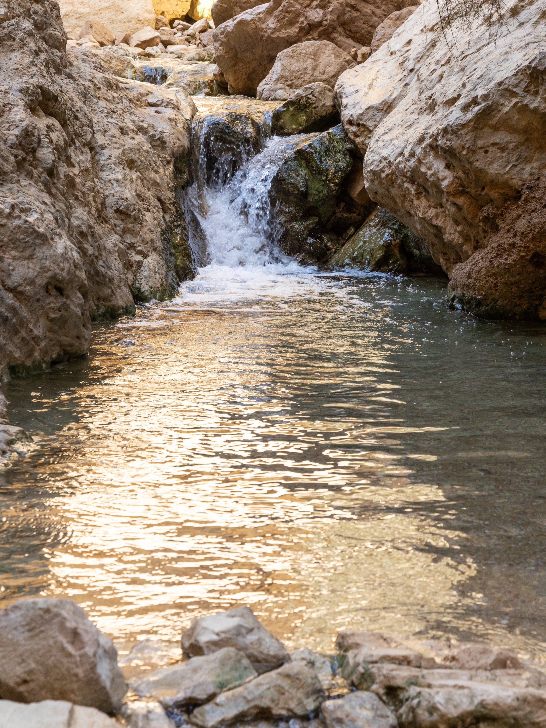Israel Holy Land Nahal Bokek River in Judean Desert