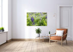 Holy Land Israeli Green and Purple Landscape — Wild Lupine Flowers