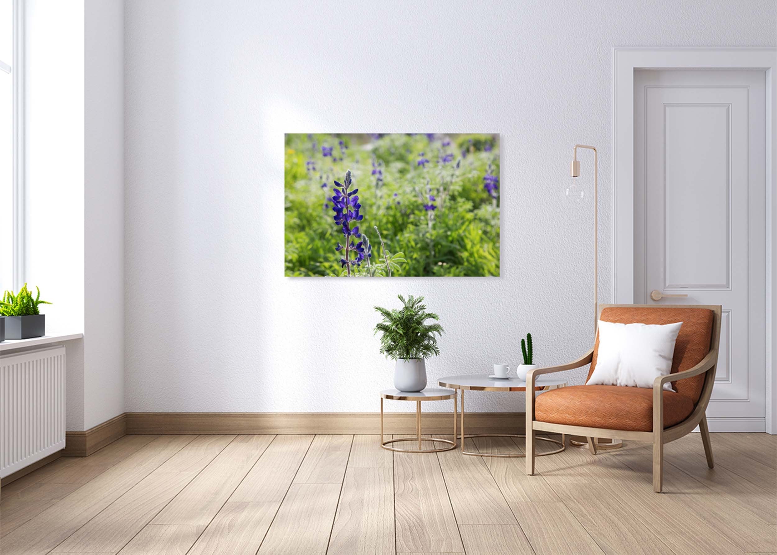 Holy Land Israeli Green and Purple Landscape — Wild Lupine Flowers