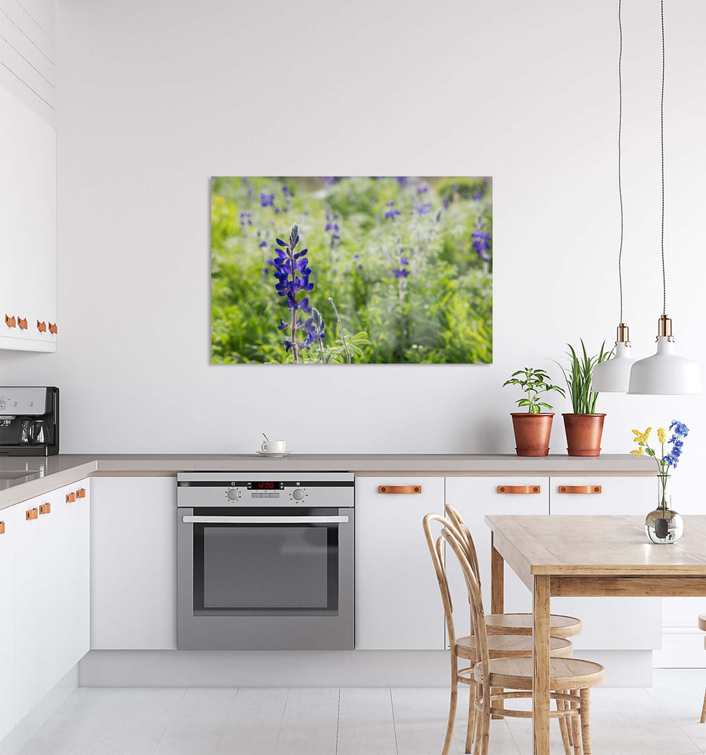 Holy Land Israeli Green and Purple Landscape — Wild Lupine Flowers