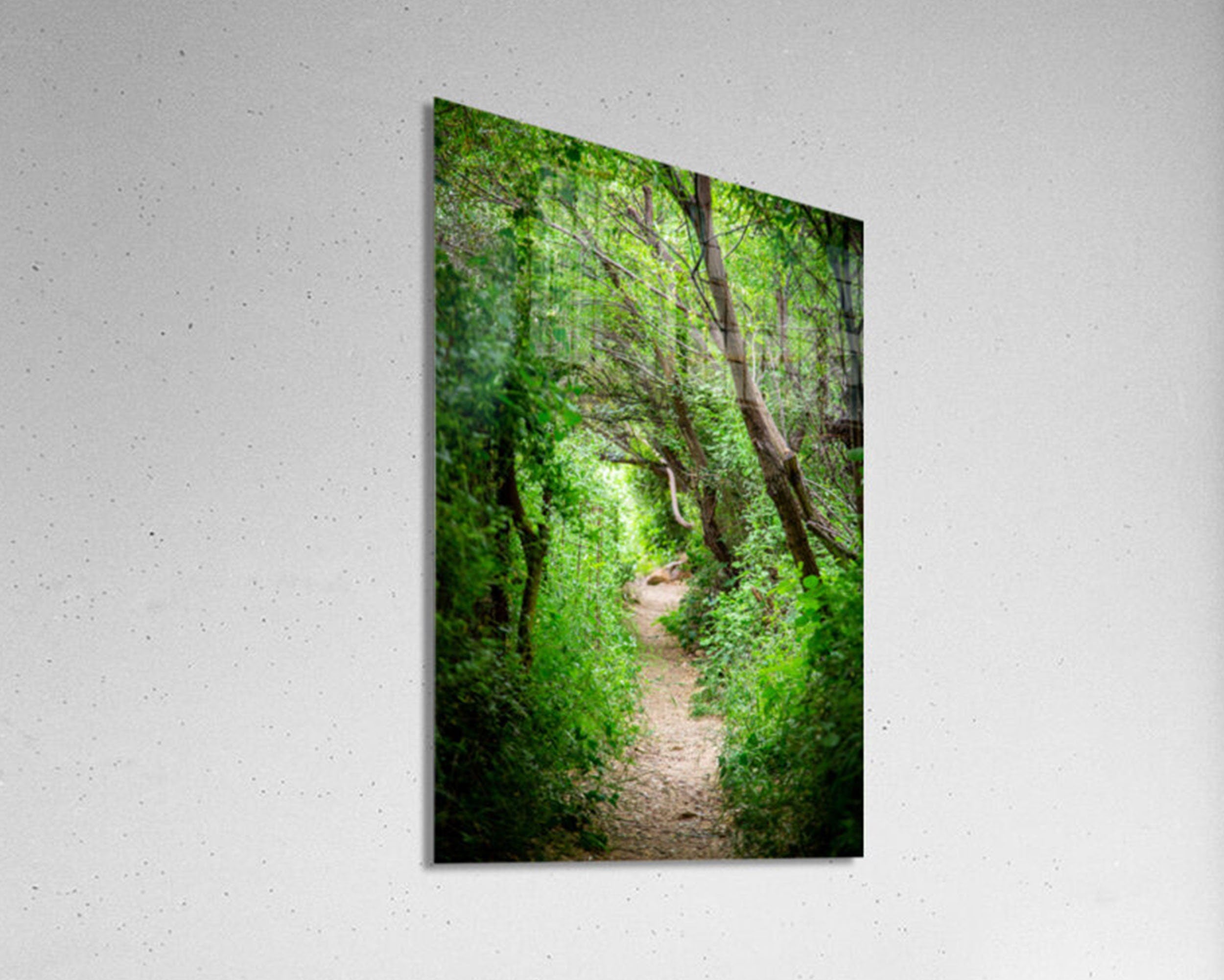 Galilee Landscape Print: Holy Land Israeli Green Nature Path, Galilee