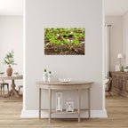 Holy Land Israeli Green Leaves in Field — Israel Nature Photography