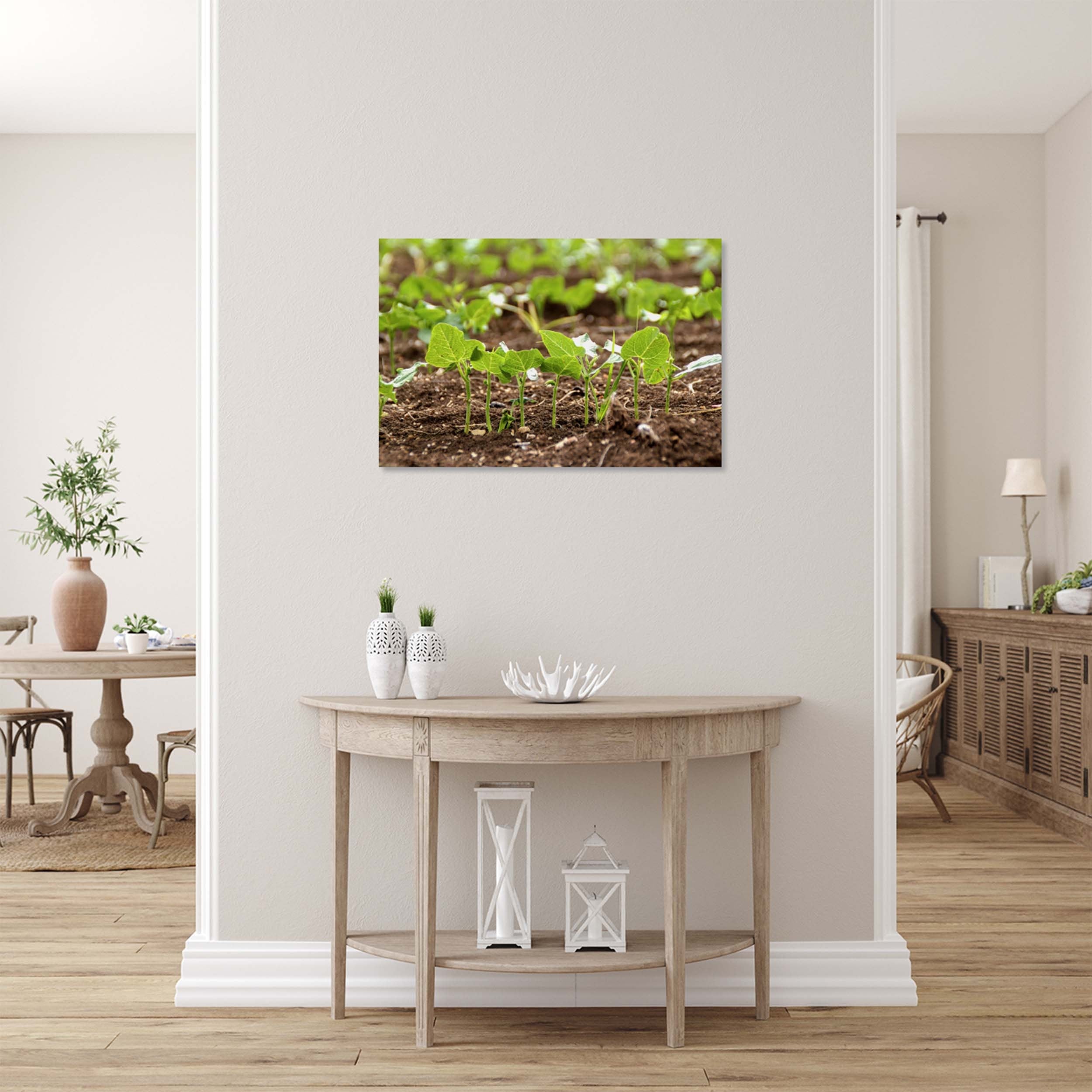 Holy Land Israeli Green Leaves in Field — Israel Nature Photography