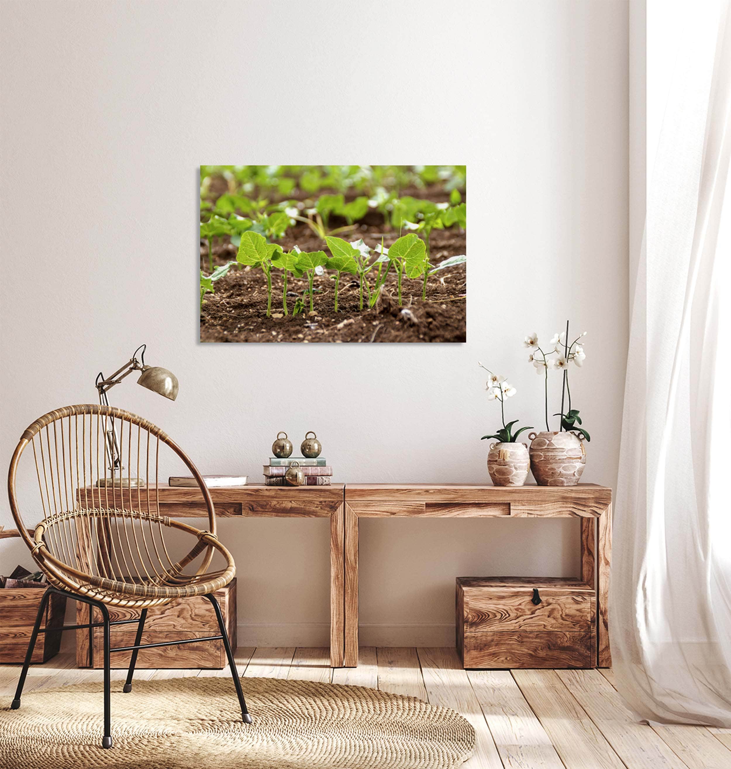 Holy Land Israeli Green Leaves in Field — Israel Nature Photography