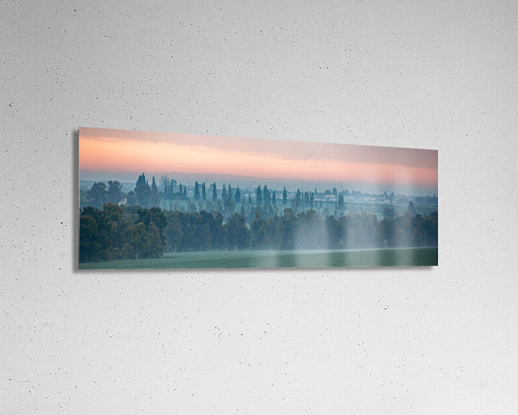 Holy Land Israeli Sunrise Panoramic Landscape: Green Field and Trees, Kibbutz Beeri