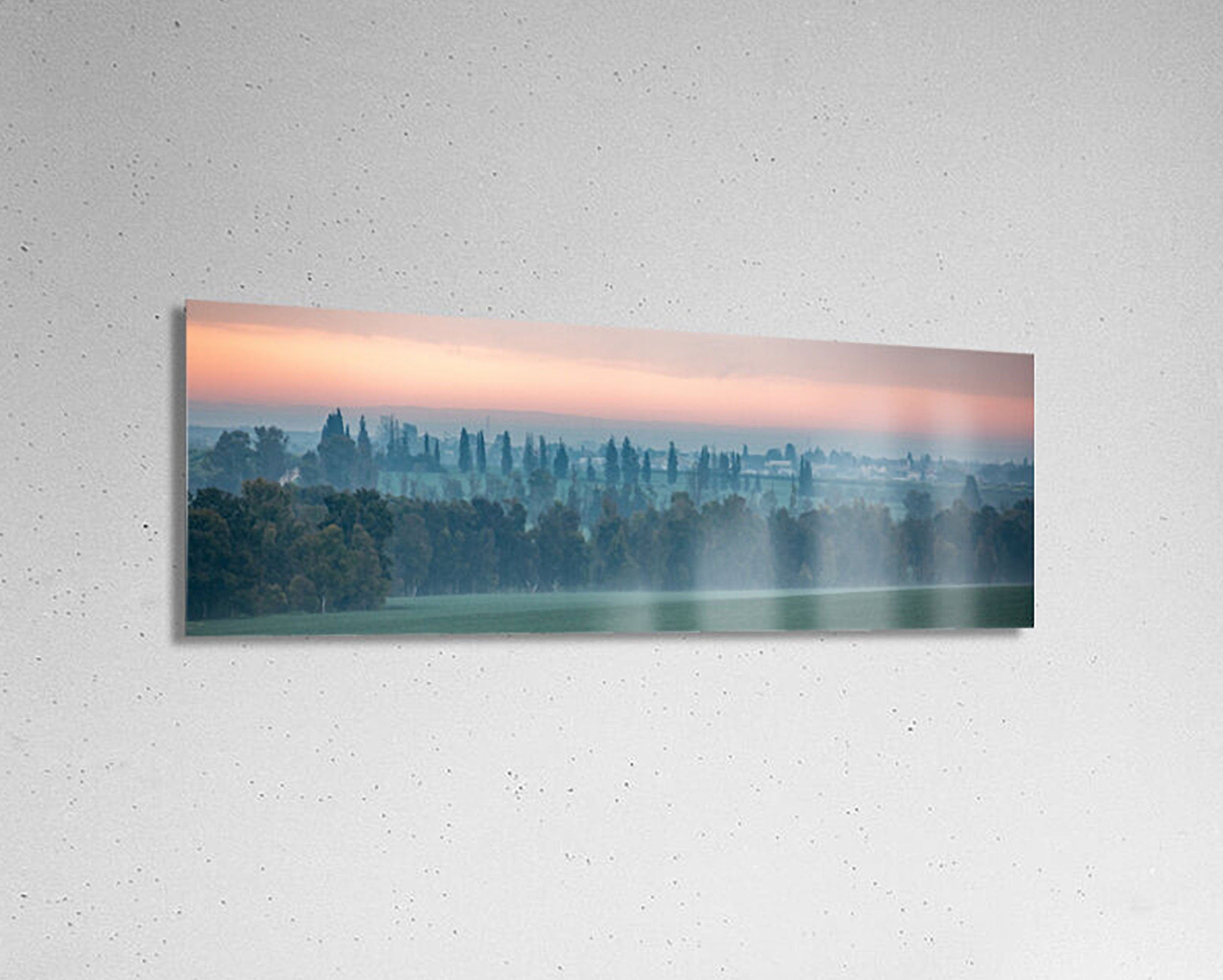 Holy Land Israeli Sunrise Panoramic Landscape: Green Field and Trees, Kibbutz Beeri