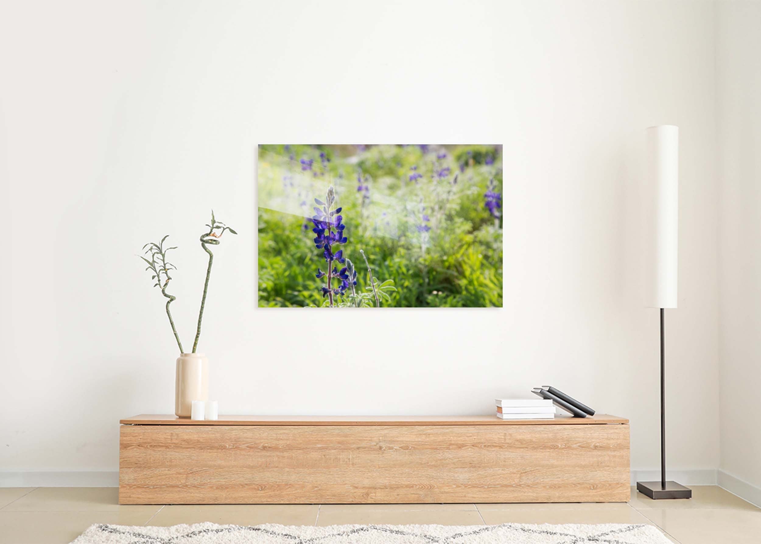 Holy Land Israeli Green and Purple Landscape — Wild Lupine Flowers