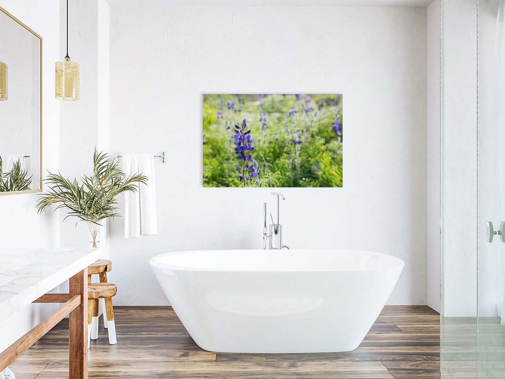 Holy Land Israeli Green and Purple Landscape — Wild Lupine Flowers