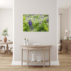 Holy Land Israeli Green and Purple Landscape — Wild Lupine Flowers