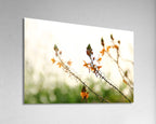 Israel Holy Land Orange and Green Blubine Flowers