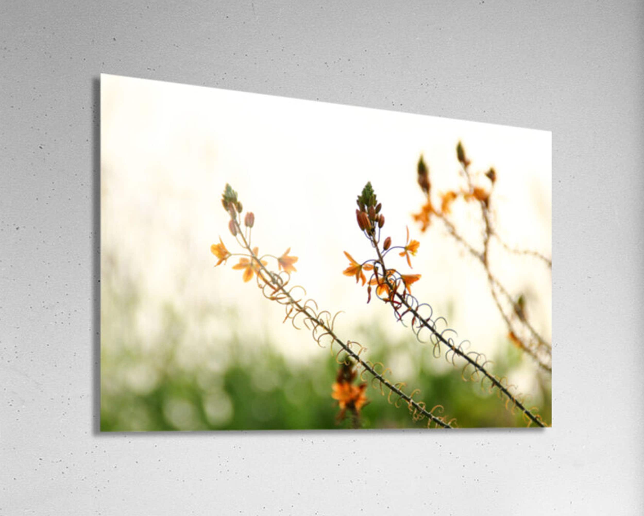 Israel Holy Land Orange and Green Blubine Flowers