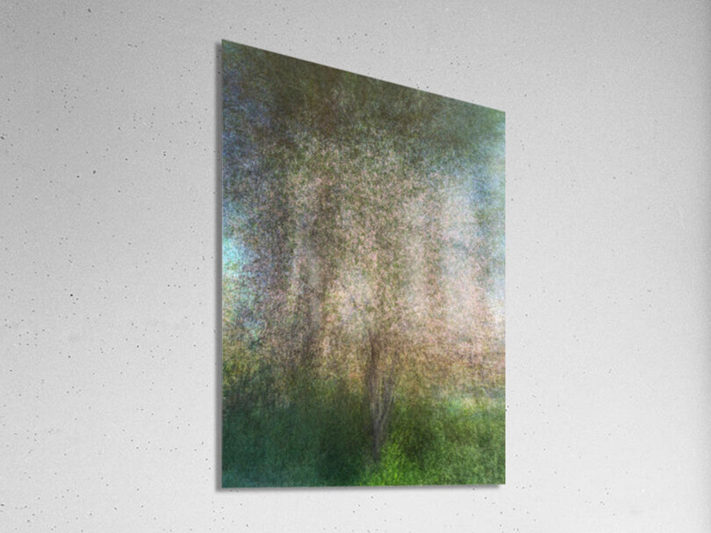 Holy Land Almond Tree Impressionist Painting — Jerusalem Almond Blossom