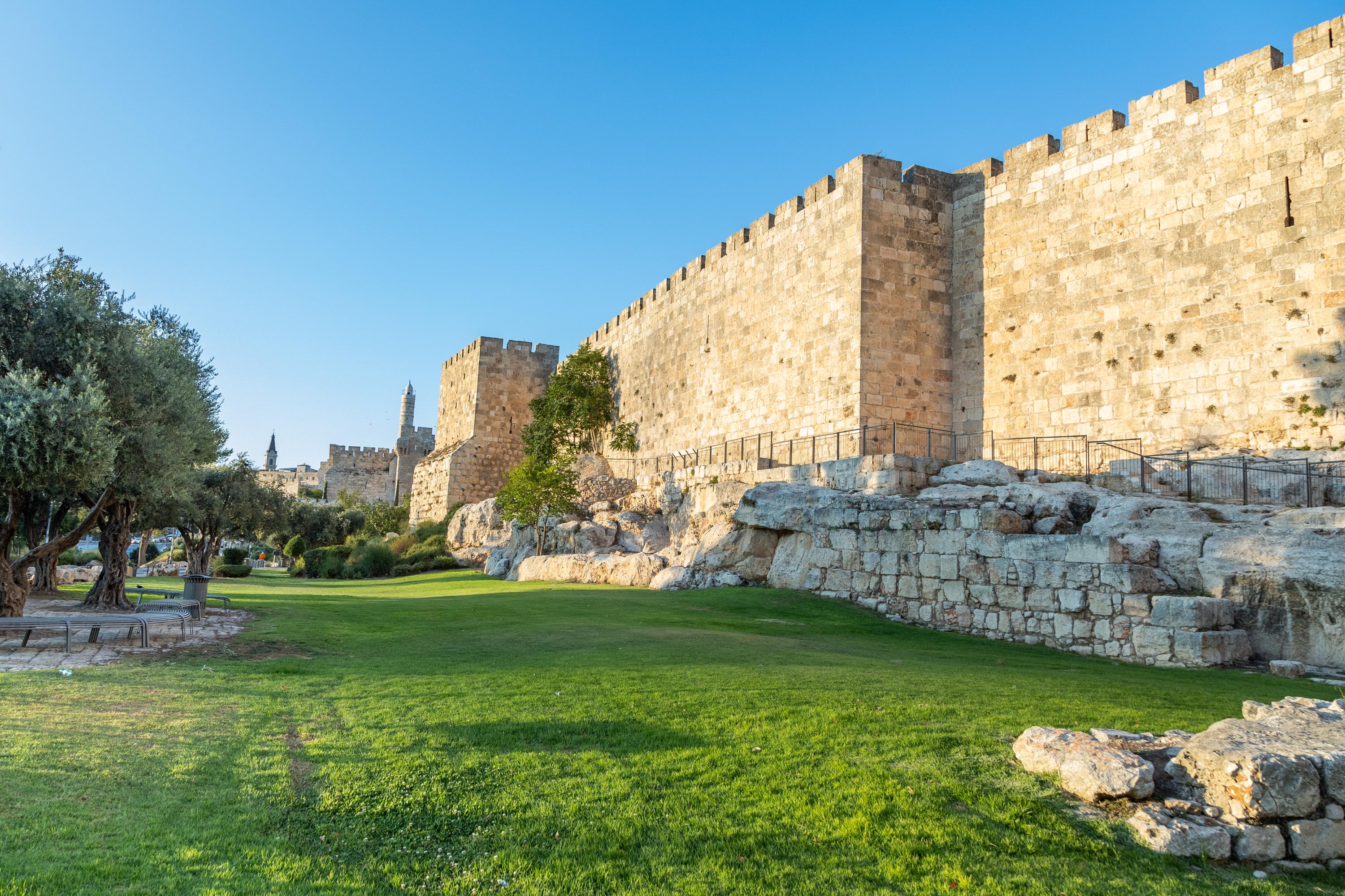 Jerusalem Old City Walls, Old Olive Trees & David Citadel