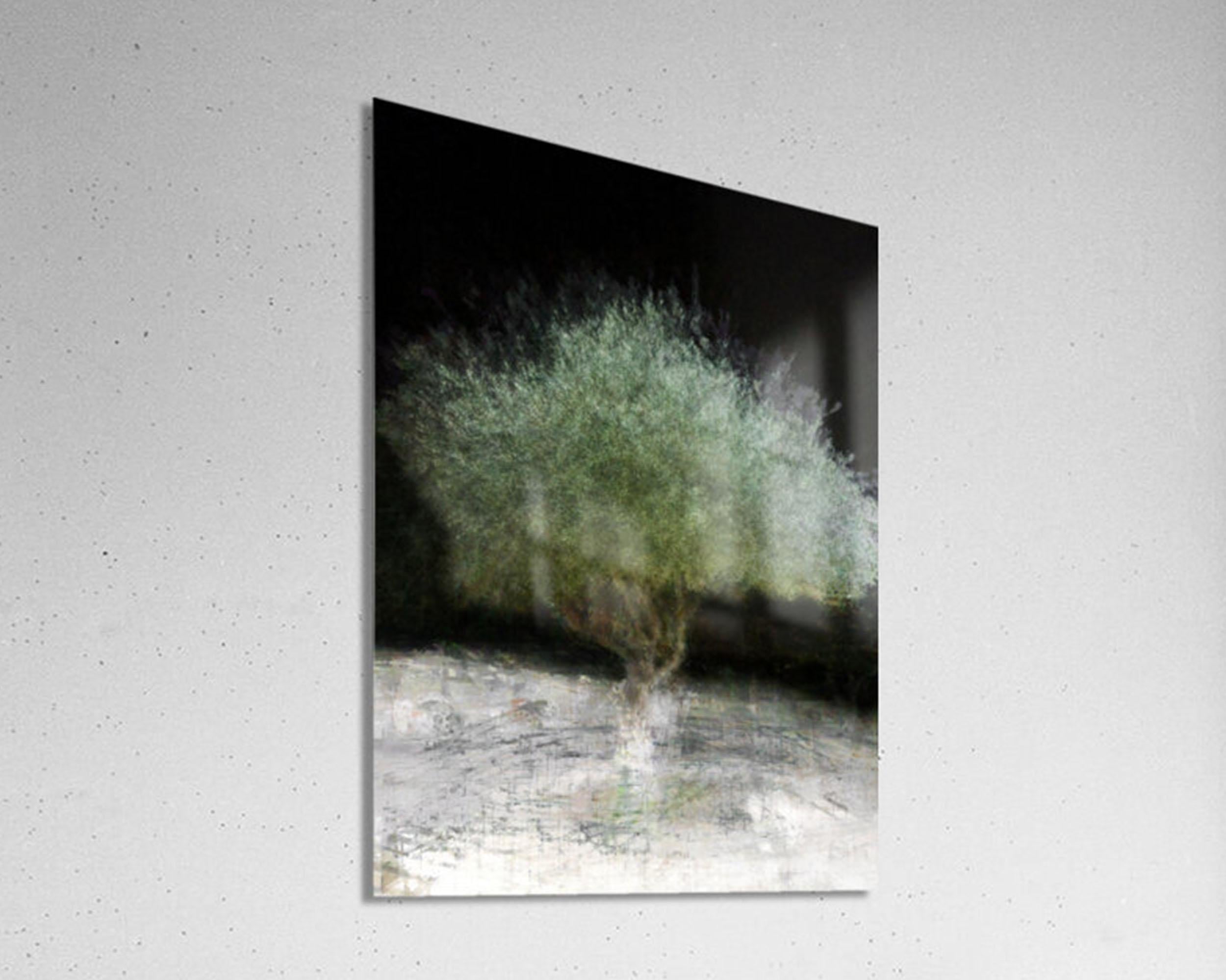 The Green Olive Tree Impressionist Painting by Night - National Tree of the Holy Land Israel - 7 Species of Israel