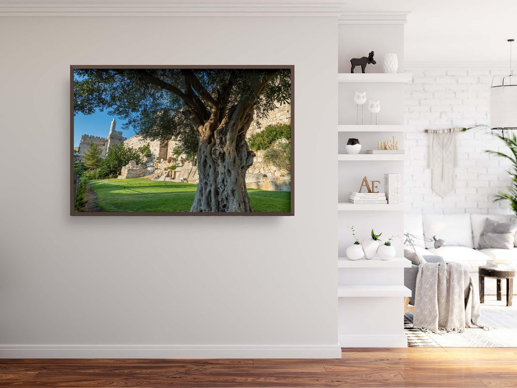 Jerusalem Old City Walls With Olive Tree & David Citadel