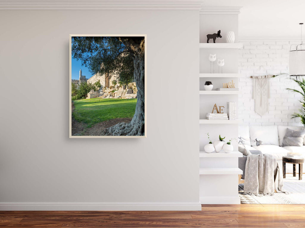 Olive Tree with Jerusalem Old City Walls & David Citadel