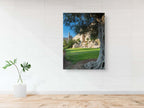 Olive Tree with Jerusalem Old City Walls & David Citadel