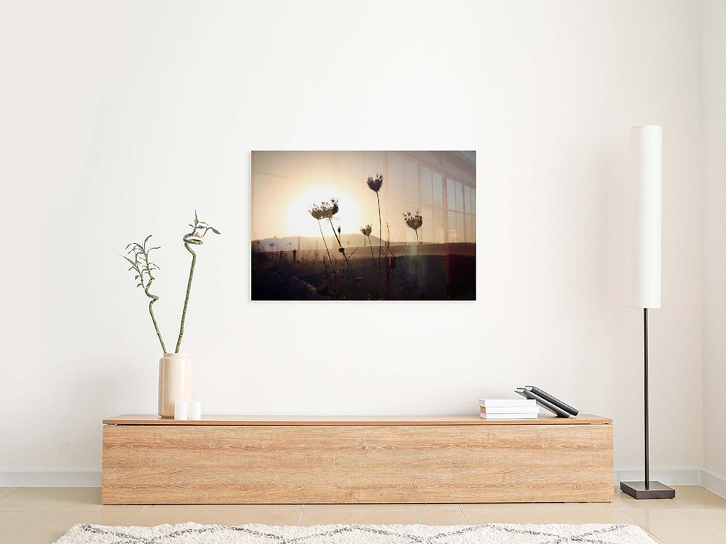 Israel Sunset Landscape Flowers Shadow with Sun Halo and Galil Mountains