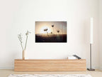Israel Sunset Landscape Flowers Shadow with Sun Halo and Galil Mountains