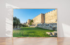 Jerusalem Old City Walls, Old Olive Trees & David Citadel