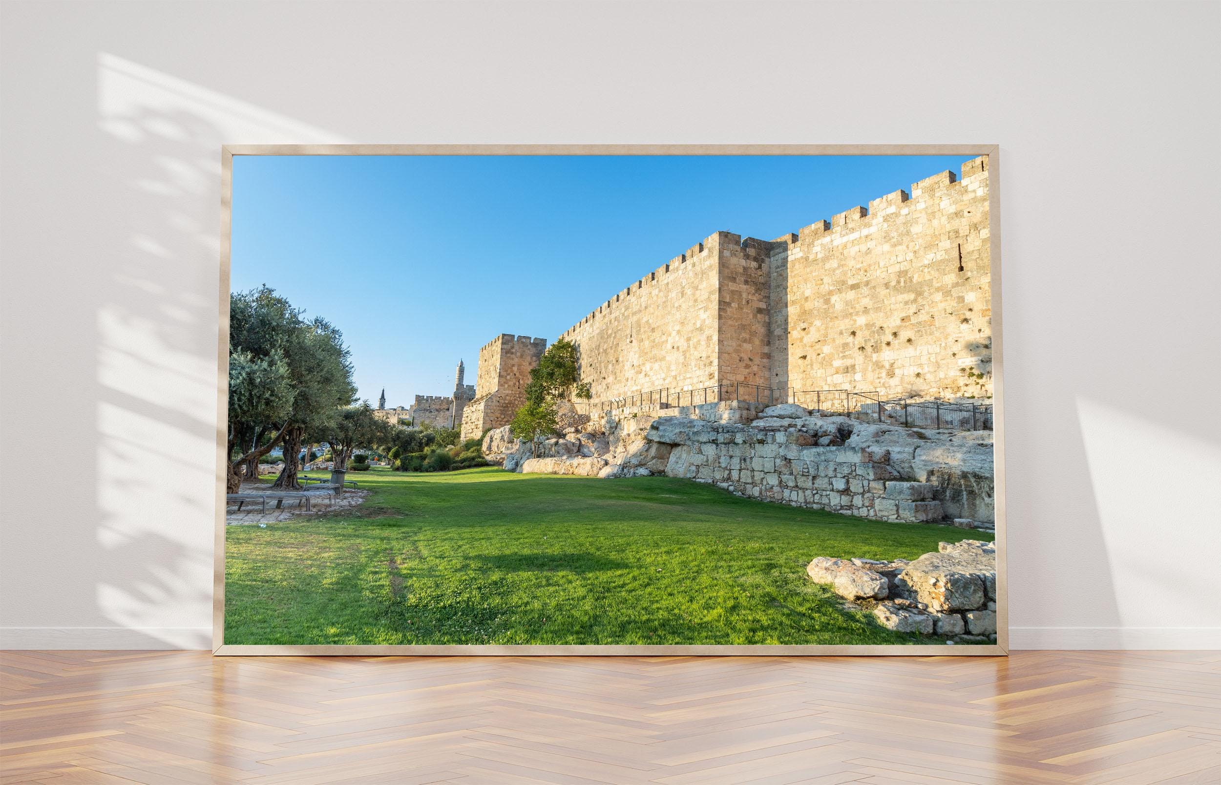 Jerusalem Old City Walls, Old Olive Trees & David Citadel