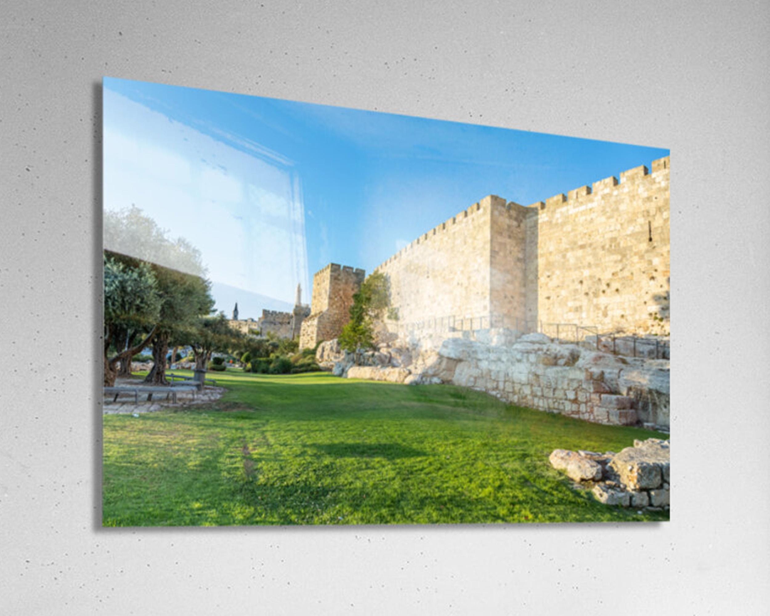 Jerusalem Old City Walls, Old Olive Trees & David Citadel