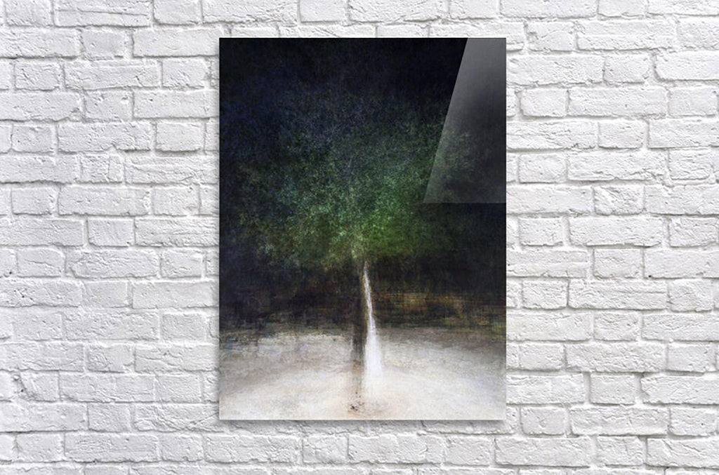 Holy Land Israeli Oak Tree Impressionist Painting by Night — The Bride & Groom