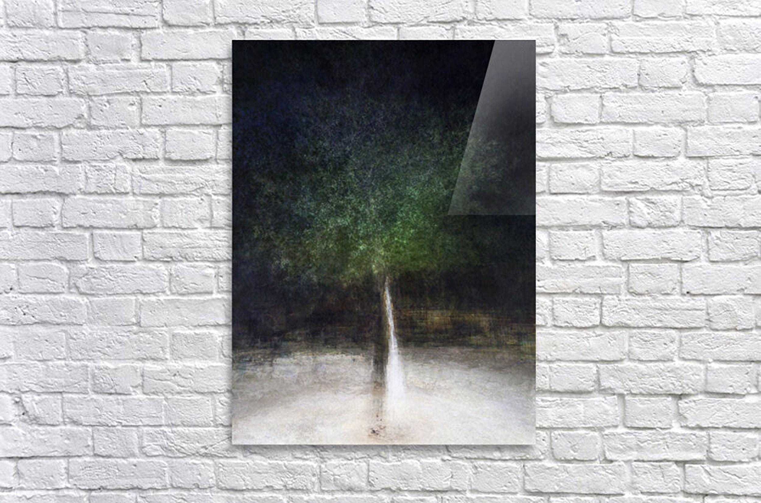 Holy Land Israeli Oak Tree Impressionist Painting by Night — The Bride & Groom