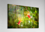 Israeli Holy Land Green Red Young Pomegranates Rimonim — Kitchen