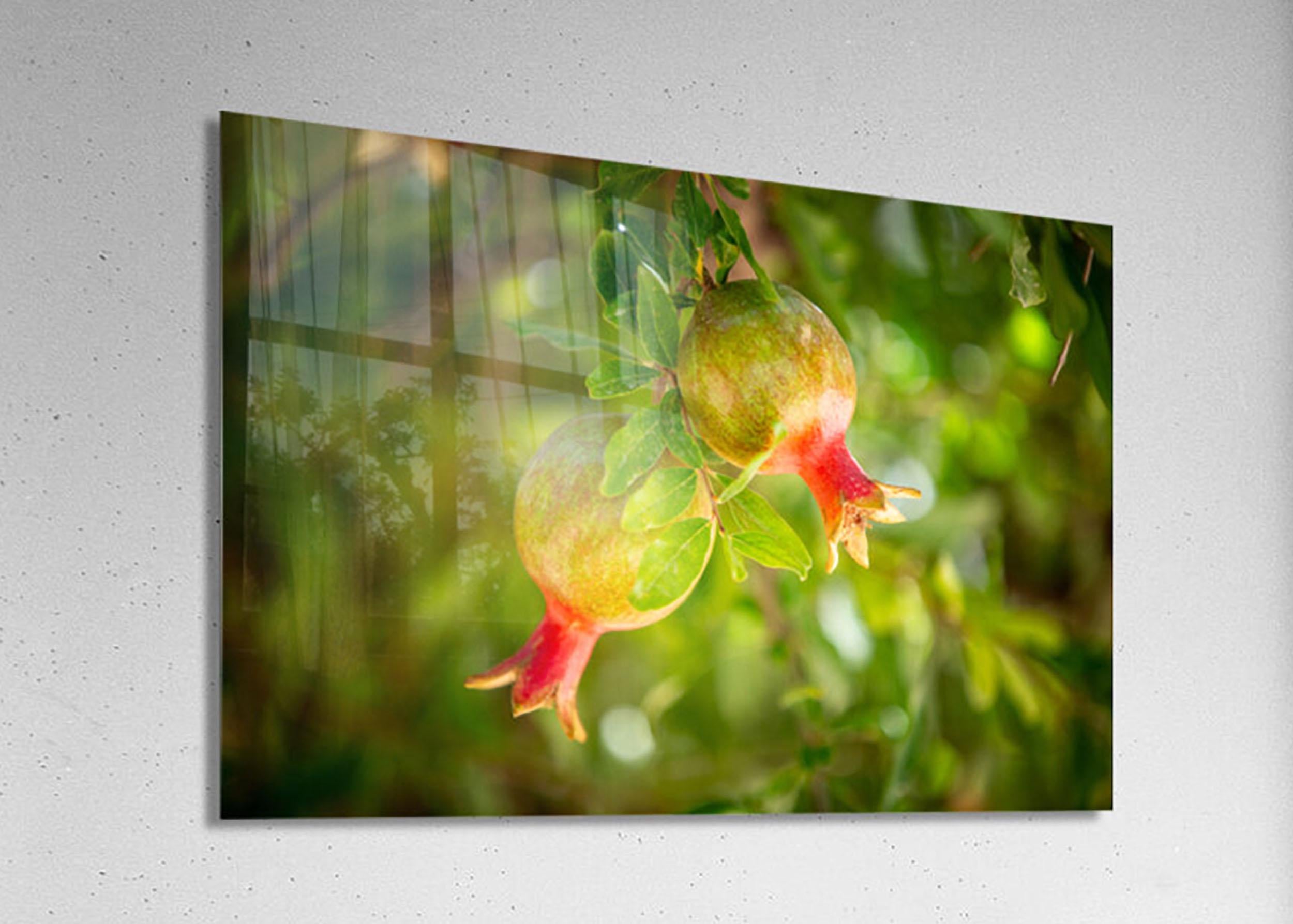 Israeli Holy Land Green Red Young Pomegranates Rimonim — Kitchen