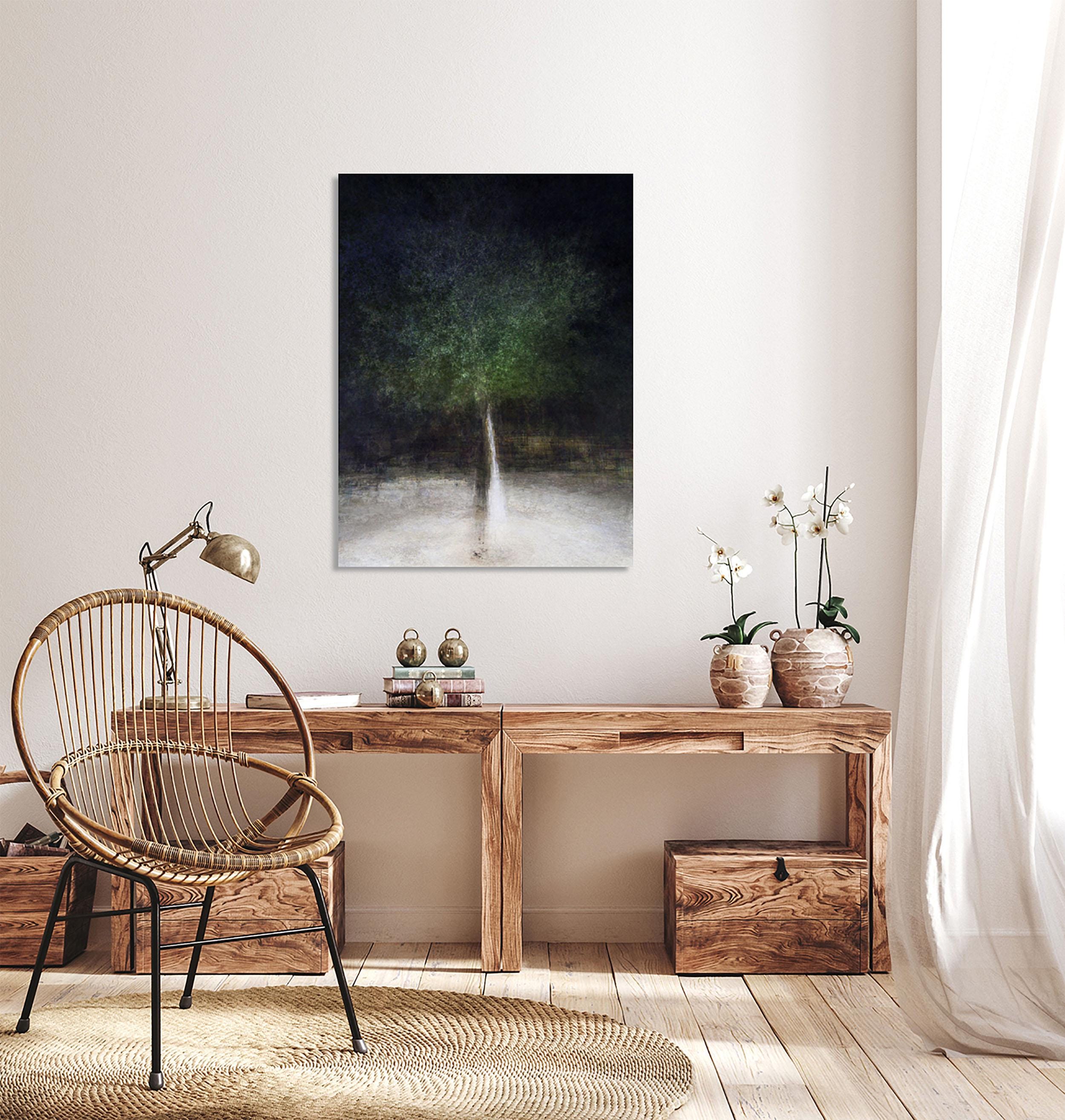 Holy Land Israeli Oak Tree Impressionist Painting by Night — The Bride & Groom