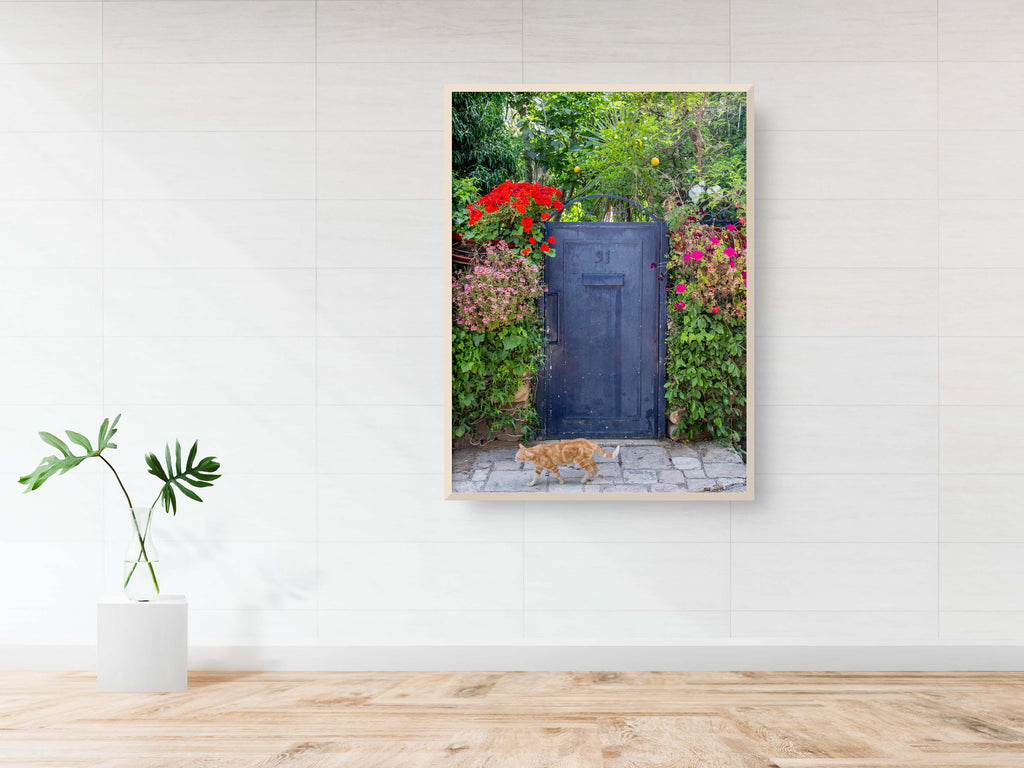 Jerusalem Garden Grey Metallic Door : Ein Kerem Doorway, Cat and Lemon Tree