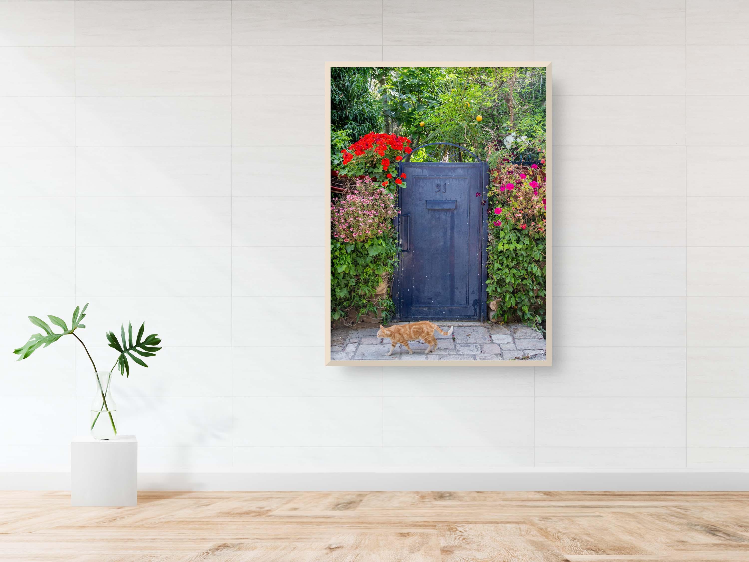 Jerusalem Garden Grey Metallic Door : Ein Kerem Doorway, Cat and Lemon Tree