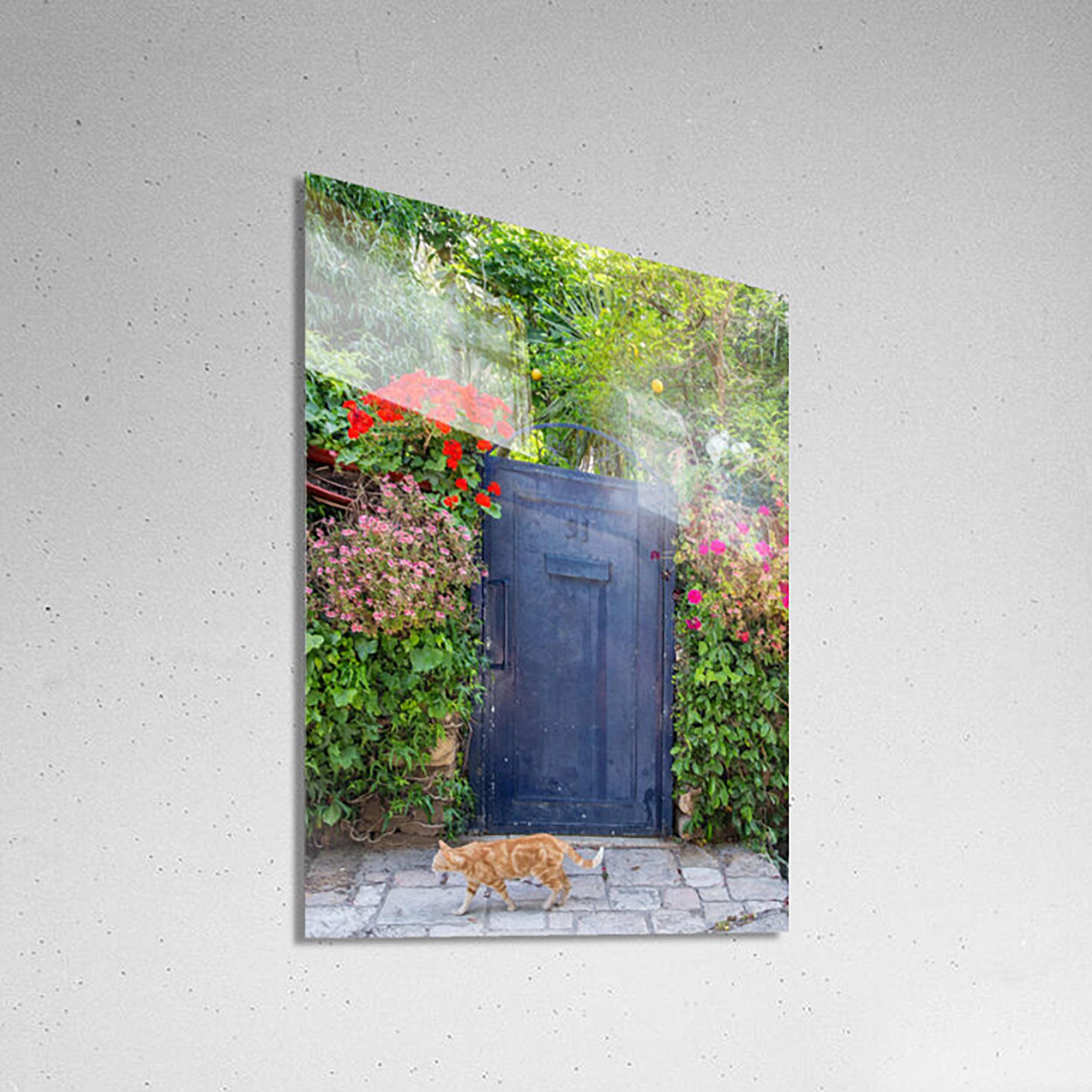 Jerusalem Garden Grey Metallic Door : Ein Kerem Doorway, Cat and Lemon Tree